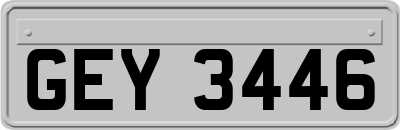 GEY3446