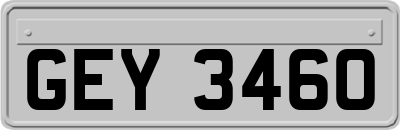 GEY3460