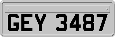 GEY3487