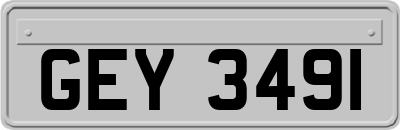 GEY3491