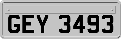 GEY3493