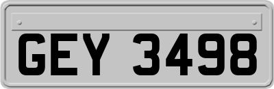 GEY3498