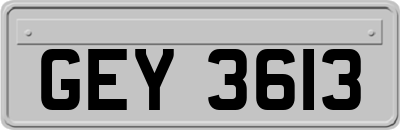 GEY3613
