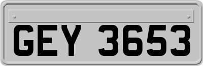 GEY3653