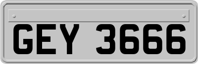 GEY3666