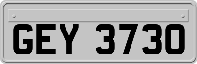 GEY3730