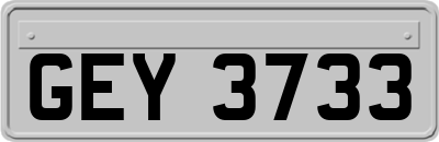 GEY3733