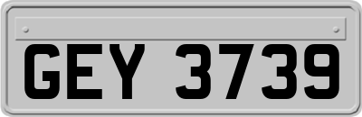 GEY3739