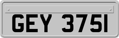 GEY3751