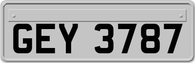 GEY3787