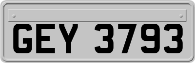 GEY3793