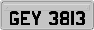 GEY3813