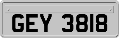 GEY3818