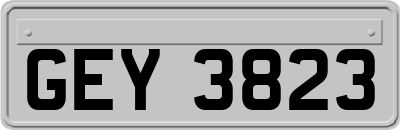 GEY3823
