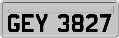 GEY3827