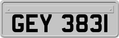 GEY3831