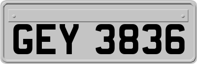 GEY3836