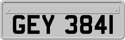 GEY3841