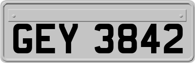 GEY3842