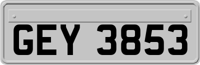 GEY3853