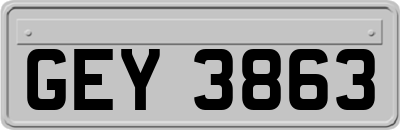 GEY3863