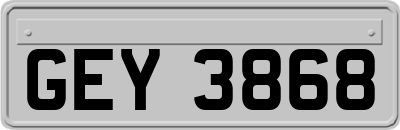 GEY3868
