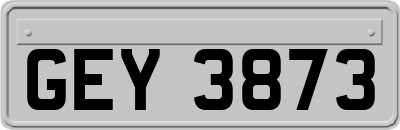GEY3873