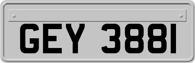 GEY3881