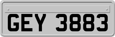 GEY3883