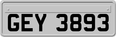 GEY3893