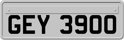 GEY3900