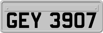 GEY3907