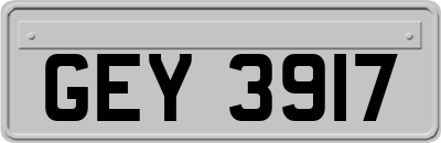 GEY3917
