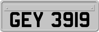 GEY3919