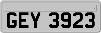 GEY3923