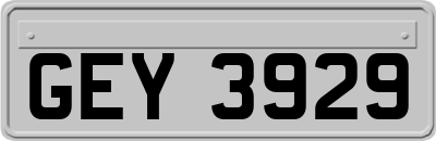 GEY3929