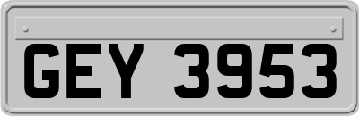 GEY3953