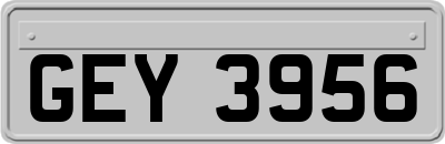 GEY3956