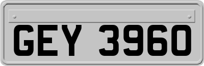 GEY3960
