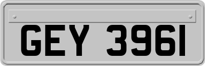 GEY3961
