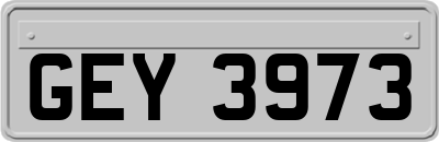 GEY3973