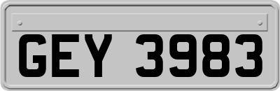 GEY3983