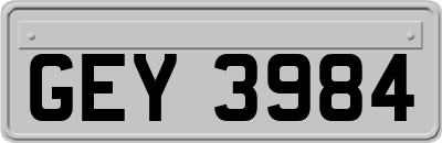 GEY3984