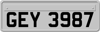 GEY3987