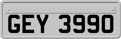 GEY3990