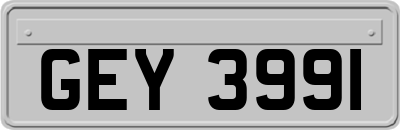GEY3991