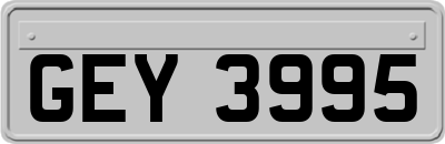 GEY3995