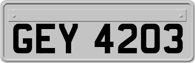 GEY4203
