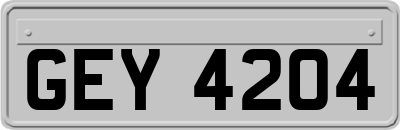 GEY4204