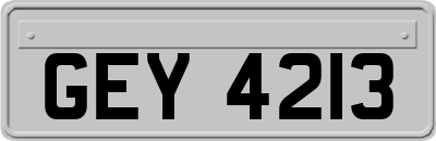 GEY4213